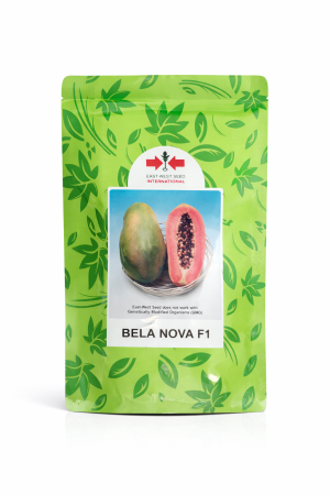 semilla de papaya belanova f1 (sobre de 1000 unid.)