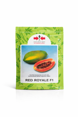 semilla de papaya red royale f1 ( sobre de 1000 unid.)