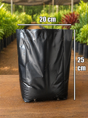 bolsas de polietileno por kg (20 cm x 25 cm)
