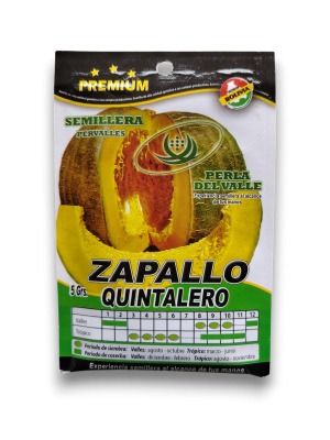 zapallo quintalero (5 g / 20 semillas aprox.)
